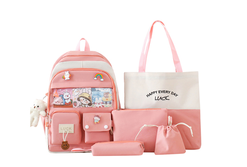 How to Choose the Best School Backpack?